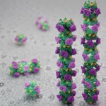 Cryo-EM structures of the large retinal splice variant of IMPDH1 in different filament assembly conformations overlaid on a cryo-EM micrograph of IMPDH1 filaments.