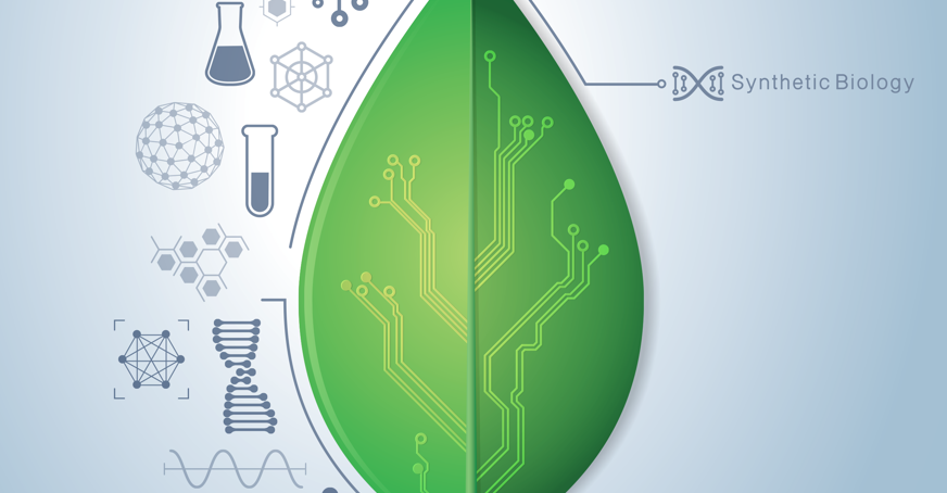 Synthetic biology cover of The Biochemist