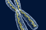 3D Image of a chromosome