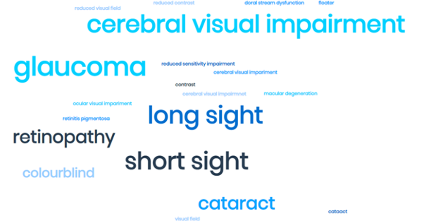 Visual Impairment Word Cloud