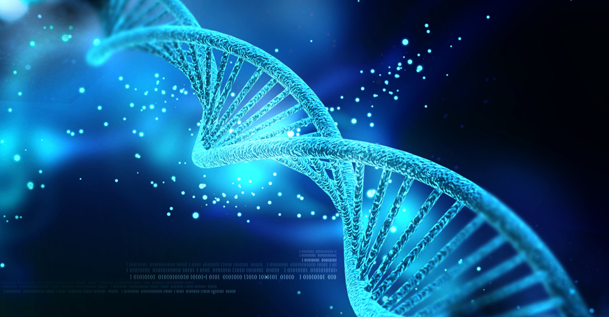 Blue double stranded DNA molecule