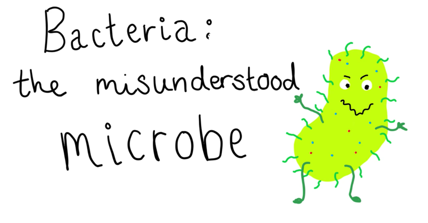 Screenshot from title slide of video depicting a drawn bacteria and the words 'Bacteria: the misunderstood microbe'