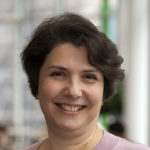 Image of Professor Luminita Paraoan