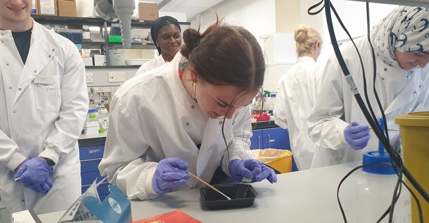 A-Level students carrying out experiements in a lab