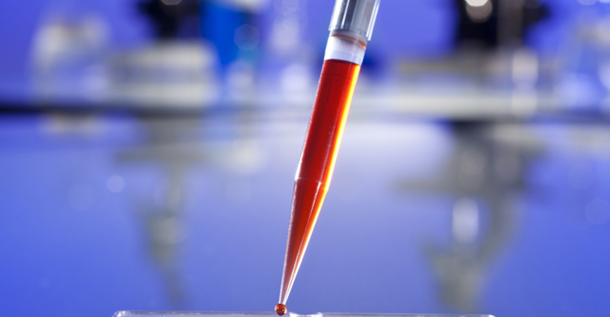 Pipette being used to fill a plate with lots of wells with red liquid